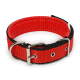 Adjustable Nylon Dog Collar