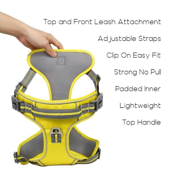 No-Pull Dog Harness with Handle, Padded Vest and Adjustable Straps