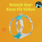 Easy Fit Dog Harness with Adjustable Sizing and Reflective Straps