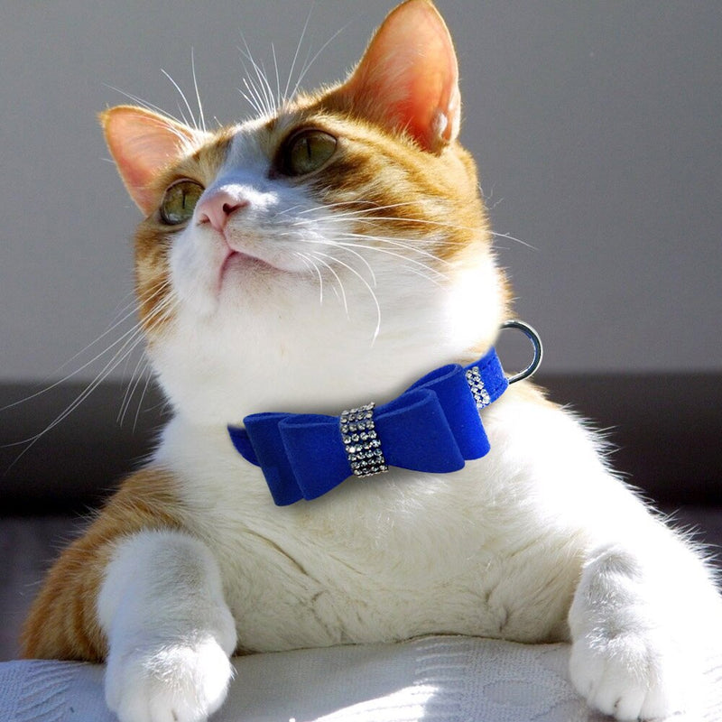 Bling Rhinestone Kitten or Cat Collar or Small Pet