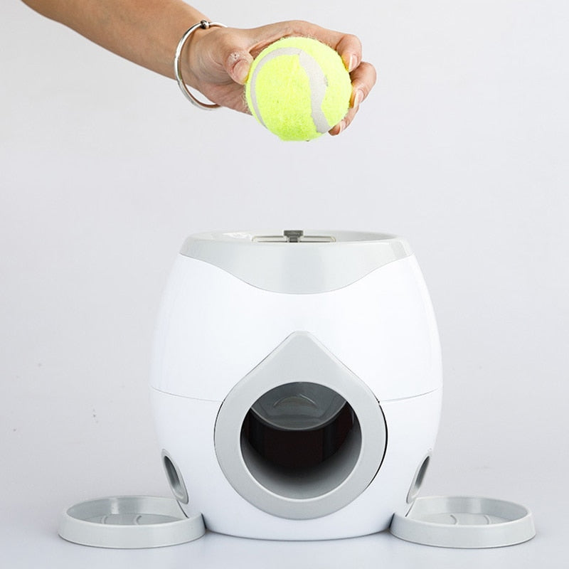 2 In 1 Interactive Ball Play Fetch and Treat Dispenser