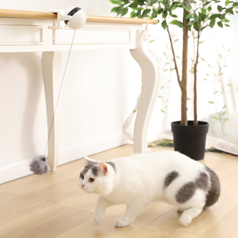 Automatic Lifting Cat Ball Interactive Toy