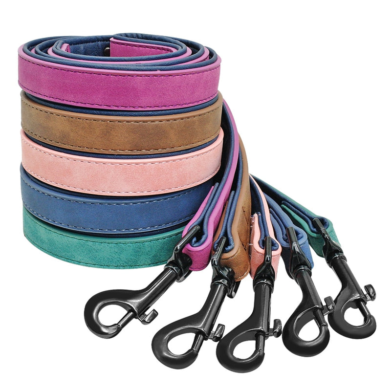 Personalized Pet Dog Collar & Leash Combo
