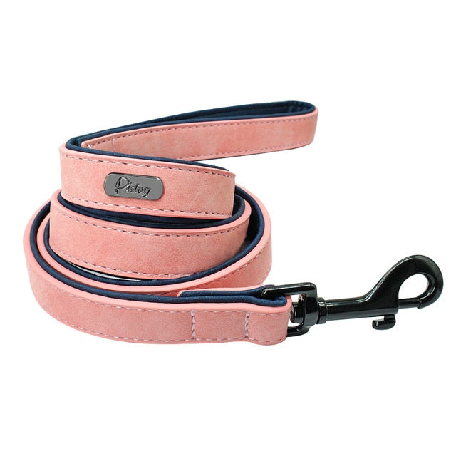 Personalized Pet Dog Collar & Leash Combo