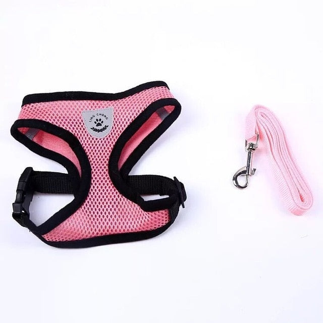 Light Weight Pet Harness and Leash Set for Puppy, Small Dog or Cat