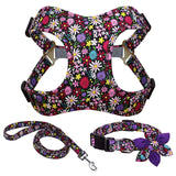 Absolutely Fabulous Harness Leash And Collar Set