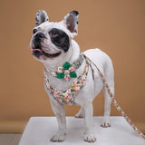 Absolutely Fabulous Harness Leash And Collar Set