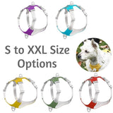 Easy Fit Dog Harness with Adjustable Sizing and Reflective Straps