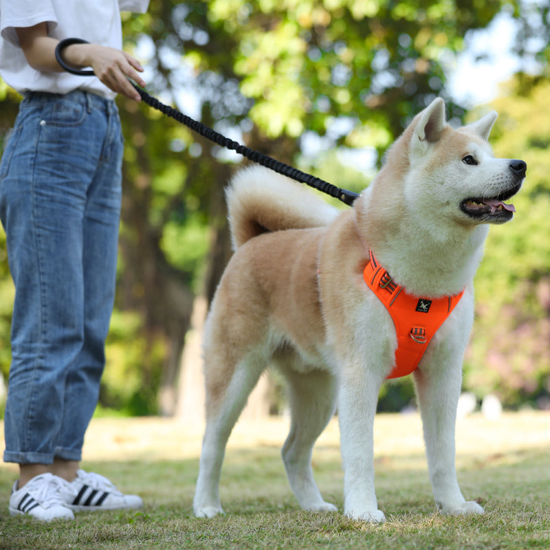 Get Tough Dog Harness with Handle and Reflective Stitching