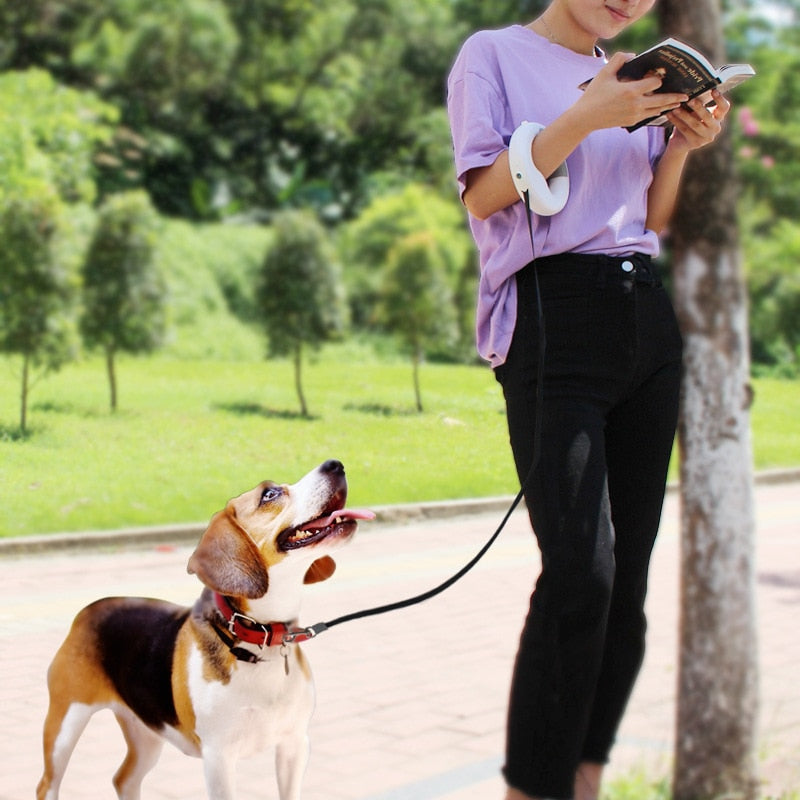 3M Retractable Dog Leash With Light