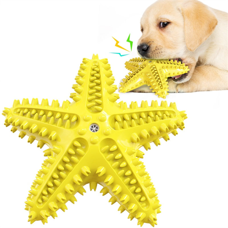 Sea Star Chew Toy for Healthy Teeth